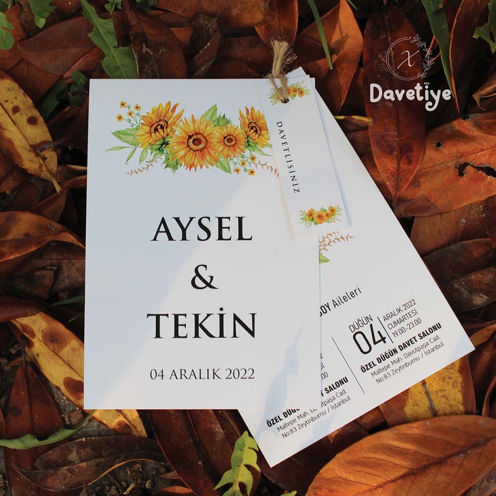 xDavetiye - İkili Davetiye Modeli | İkiz Davetiye | Model-56